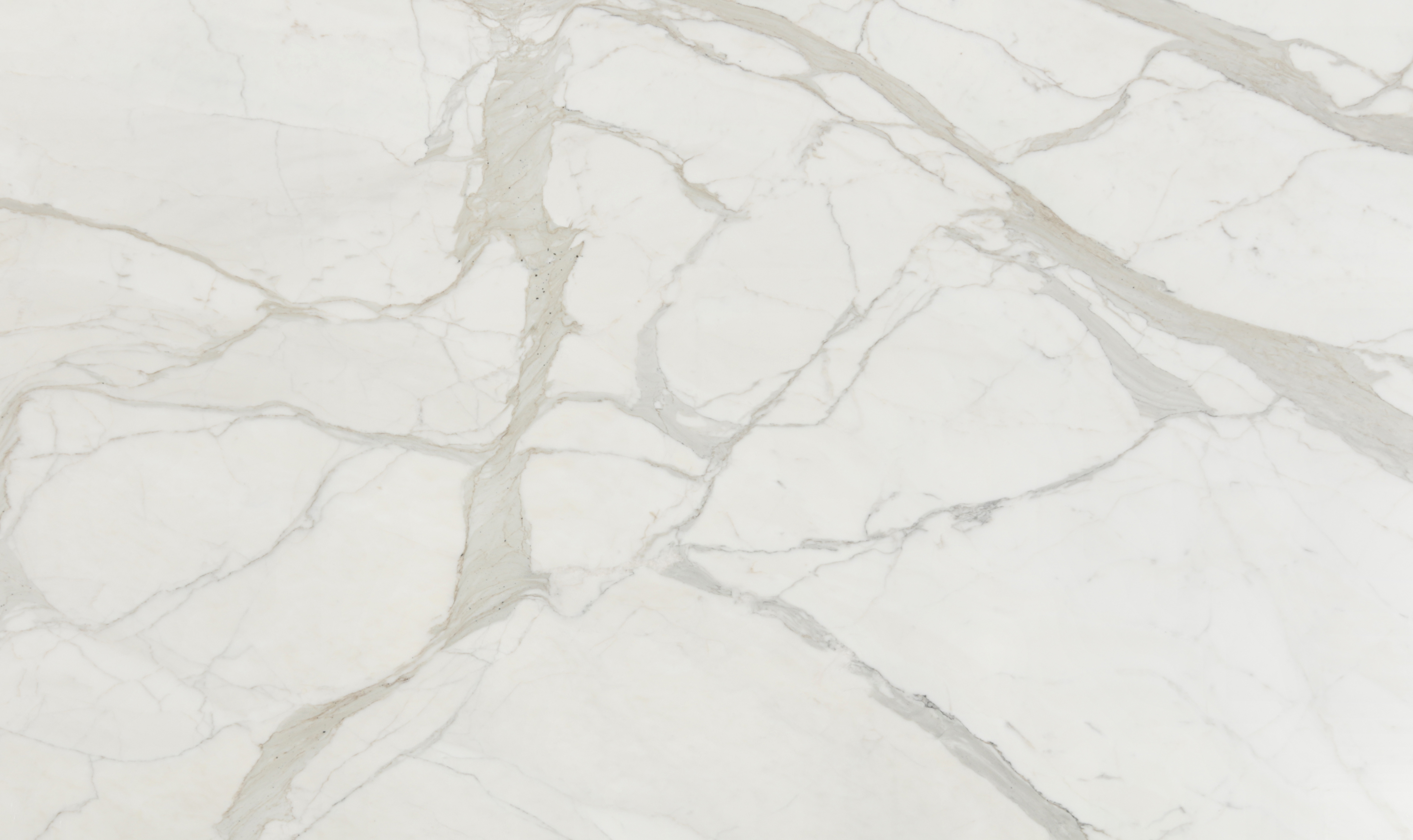 2CM CALACATTA GOLD BORGHINI HONED | MARBLE | Aria Stone Gallery