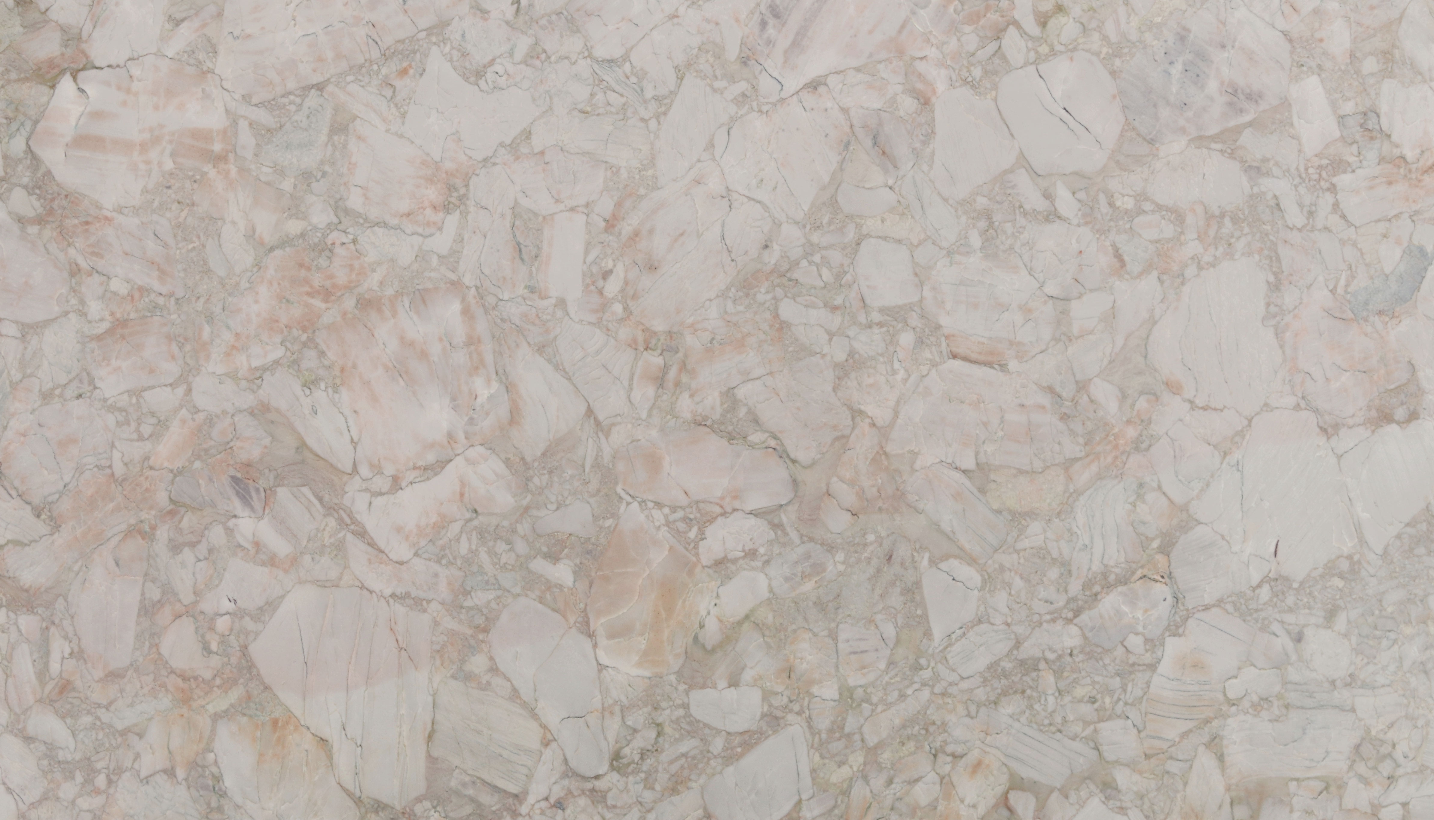 メロエッタ ar 10枚 S-TD メロエッタ(AR仕様) 買取 | [MBD] スターターセットMEGA