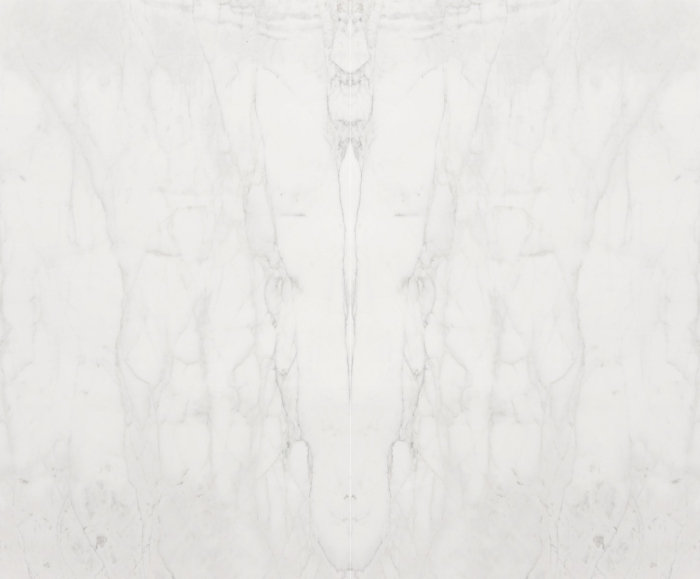 2CM CALACATTA CALDIA DUAL FINISH POLISHED/HONED MARBLE Aria