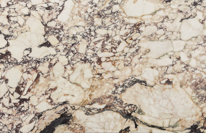 Calacatta Viola Marble Texture