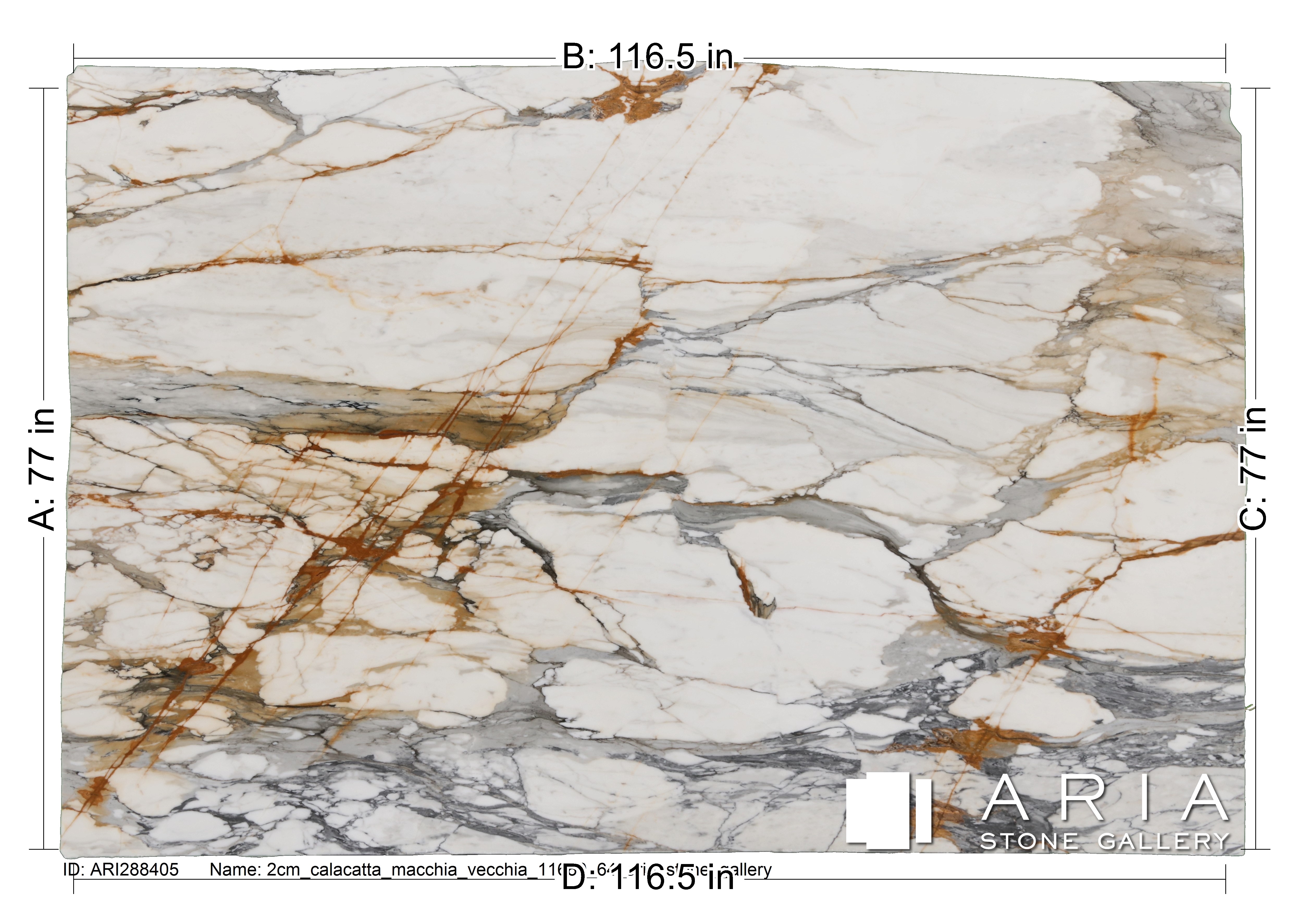 majo イタリア製 3/4 Slab Calacatta Regio Polished - Walker Zanger